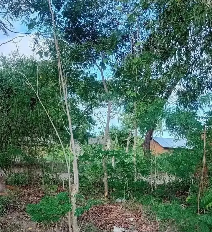 Land in Kilifi - Fumbini